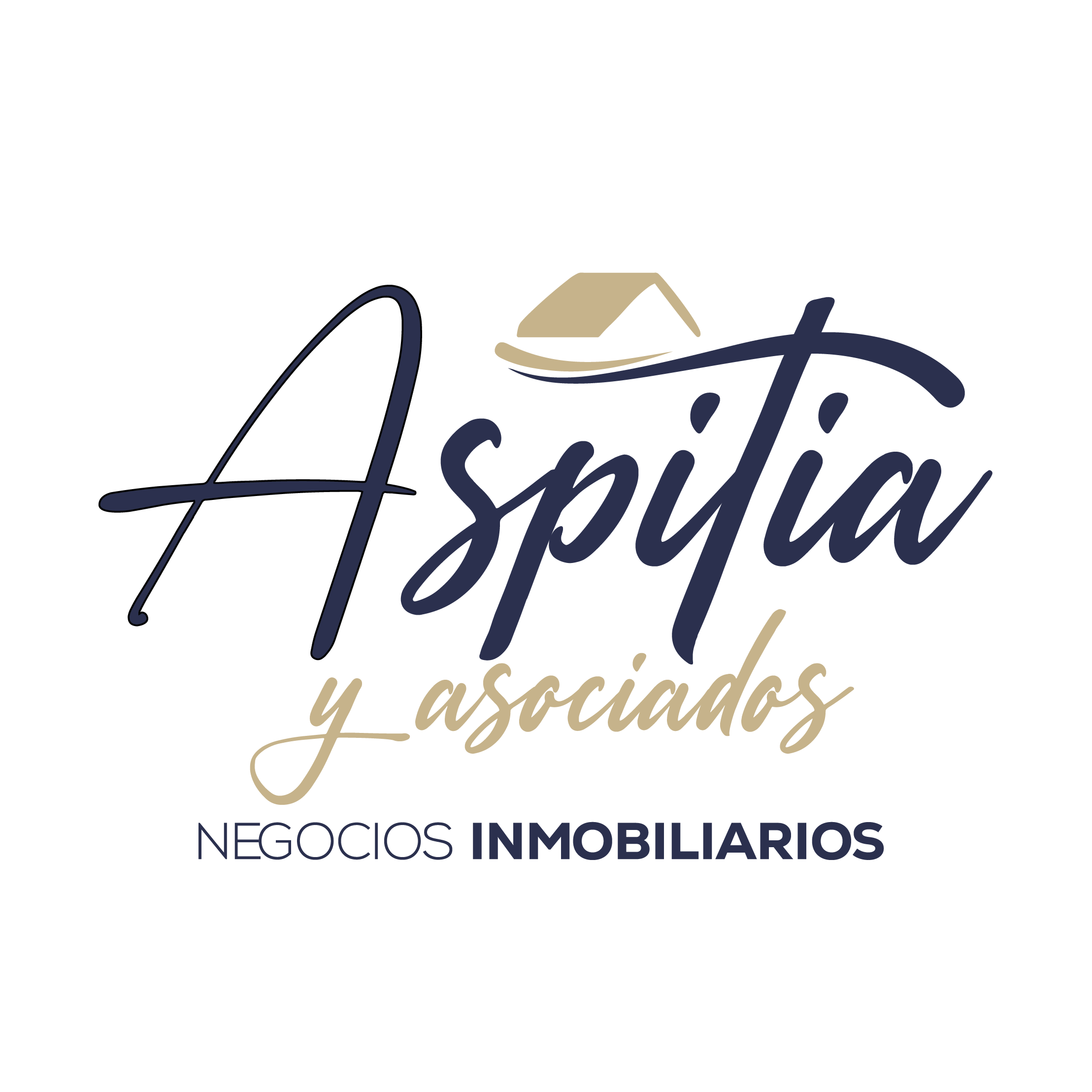 Logo Cuadrado transparente bicolor